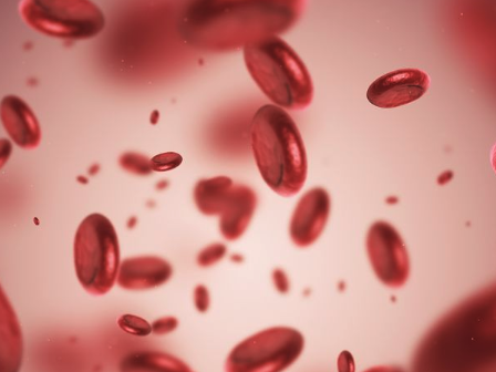 Iron Deficiency and Hair Loss: What the Research Shows